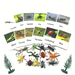 Montessori and More Classification Sets  "Animal Figures with Cards"